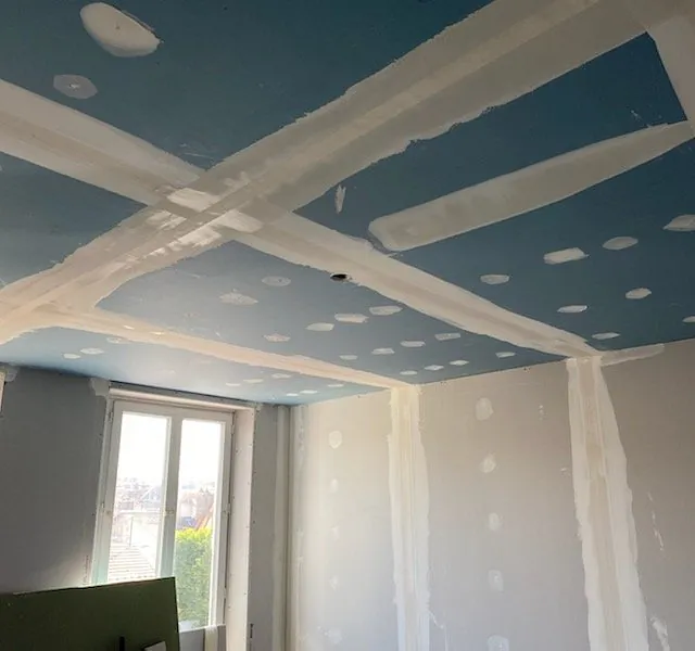 rénovation de plafond