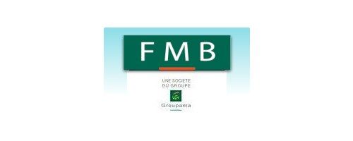 Logo FMB